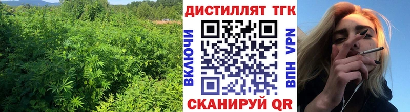 даркнет телеграм  Сясьстрой  ТГК Wax 